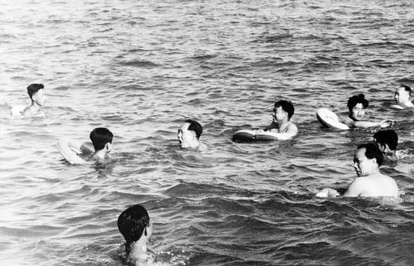 游泳女子冠军_女子游泳团队冠军_游泳女子冠军团队是谁