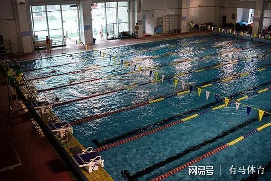 游泳冠军都是浙江人_游泳浙江冠军人是谁_浙江游泳冠军杯