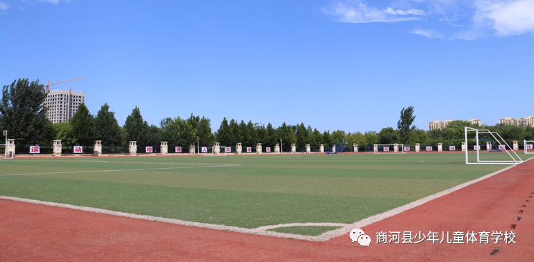 全运会女子柔道比赛_2021全运会柔道比赛成绩_女子柔道48kg全运会冠军2023