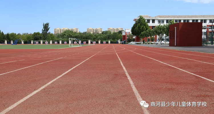 2021全运会柔道比赛成绩_女子柔道48kg全运会冠军2023_全运会女子柔道比赛