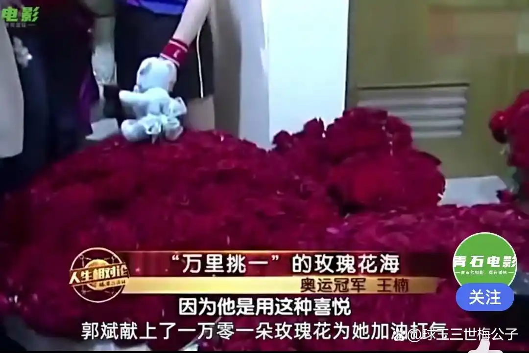 游泳运动员郭晶晶_游泳冠军郭晶晶丈夫_游泳冠军叫什么晶晶