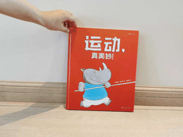 篮球的足球比赛_篮球的规矩和足球的规矩_学校篮球足球比例规则图解
