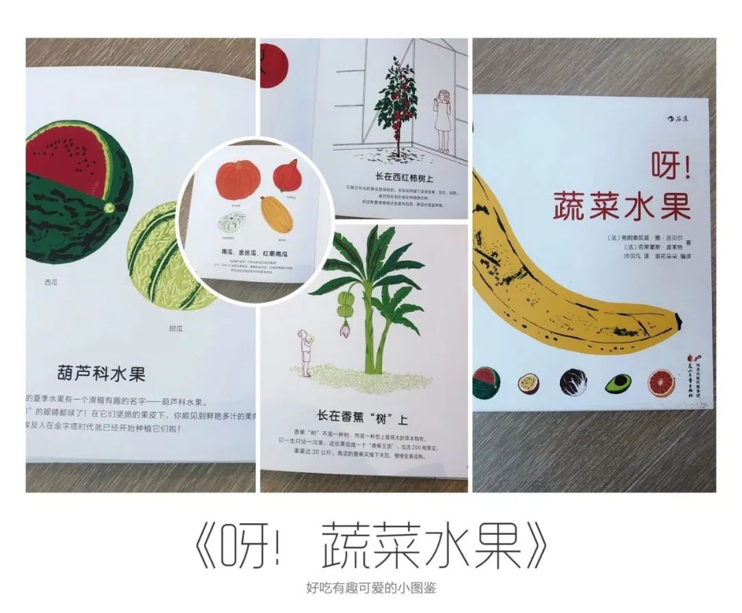 篮球的规矩和足球的规矩_篮球的足球比赛_学校篮球足球比例规则图解