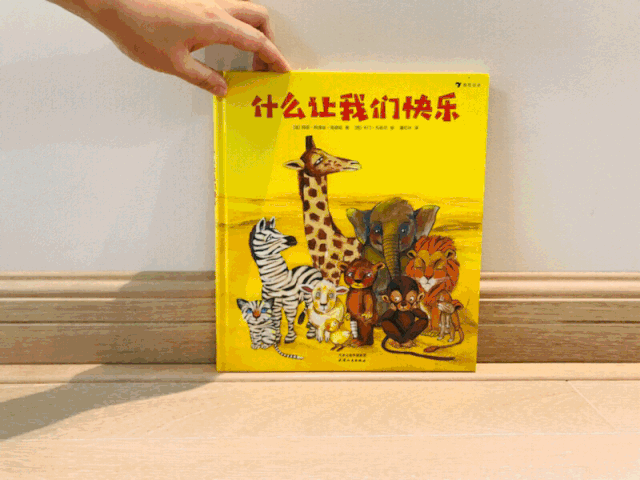 学校篮球足球比例规则图解_篮球的规矩和足球的规矩_篮球的足球比赛