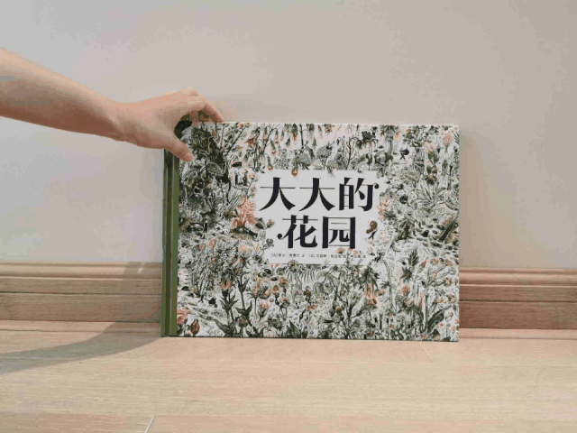 学校篮球足球比例规则图解_篮球的足球比赛_篮球的规矩和足球的规矩