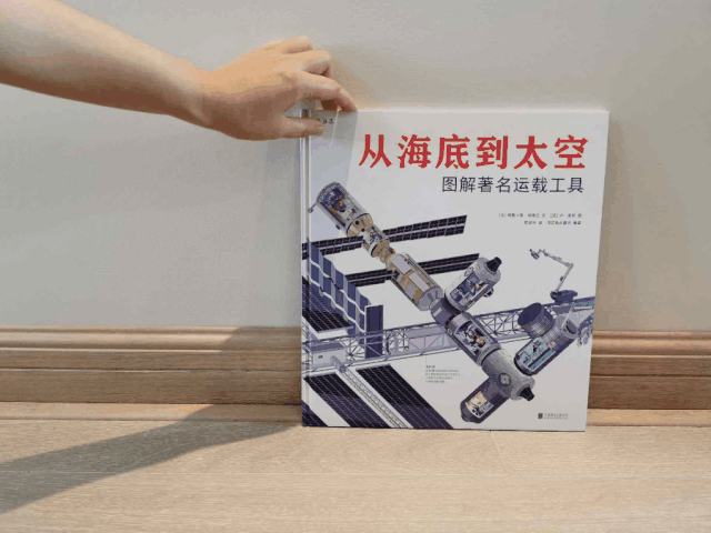 学校篮球足球比例规则图解_篮球的规矩和足球的规矩_篮球的足球比赛