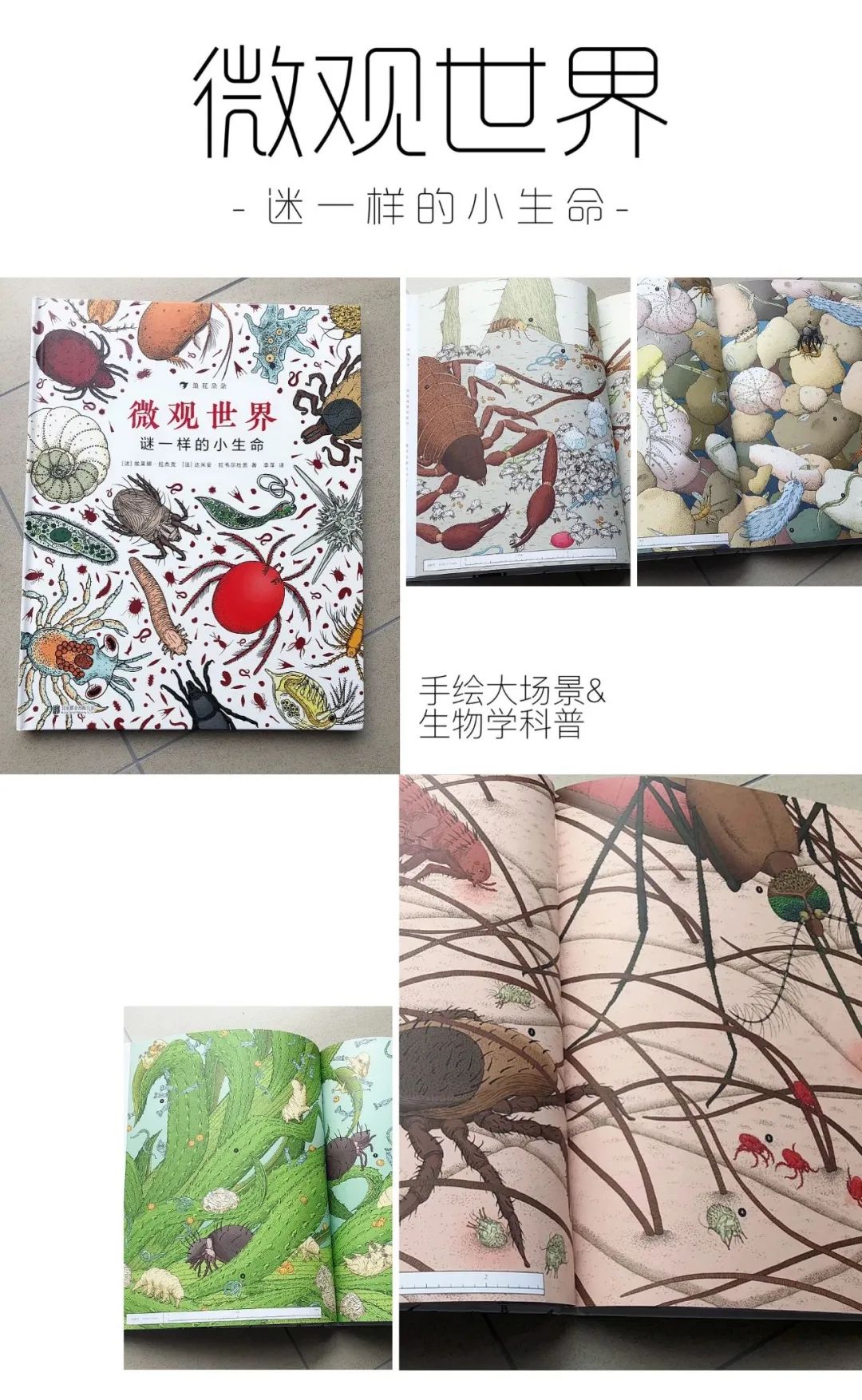 学校篮球足球比例规则图解_篮球的规矩和足球的规矩_篮球的足球比赛