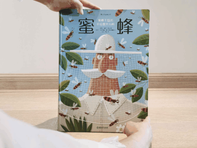 篮球的规矩和足球的规矩_篮球的足球比赛_学校篮球足球比例规则图解