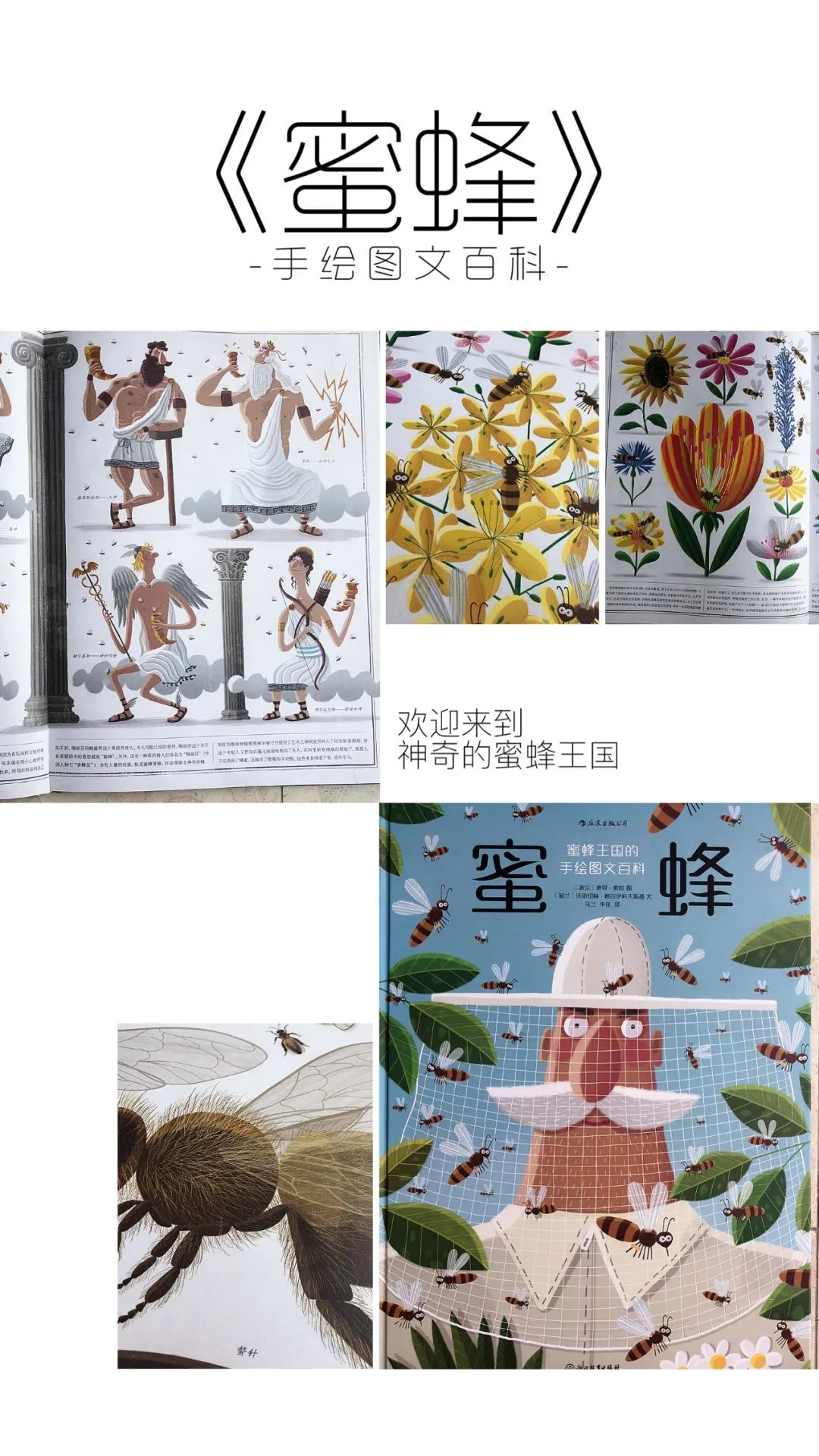 学校篮球足球比例规则图解_篮球的规矩和足球的规矩_篮球的足球比赛