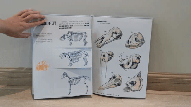 学校篮球足球比例规则图解_篮球的足球比赛_篮球的规矩和足球的规矩