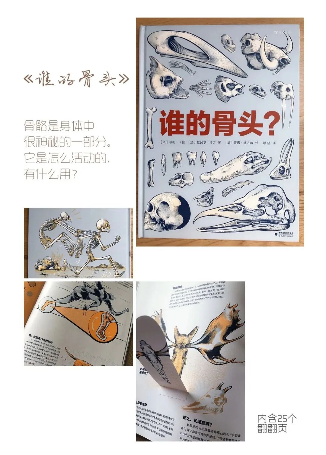 学校篮球足球比例规则图解_篮球的足球比赛_篮球的规矩和足球的规矩