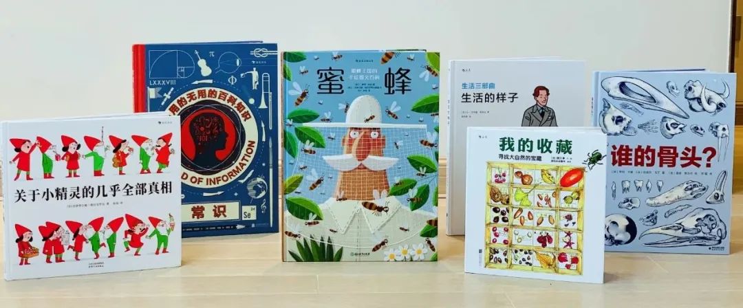 学校篮球足球比例规则图解_篮球的足球比赛_篮球的规矩和足球的规矩